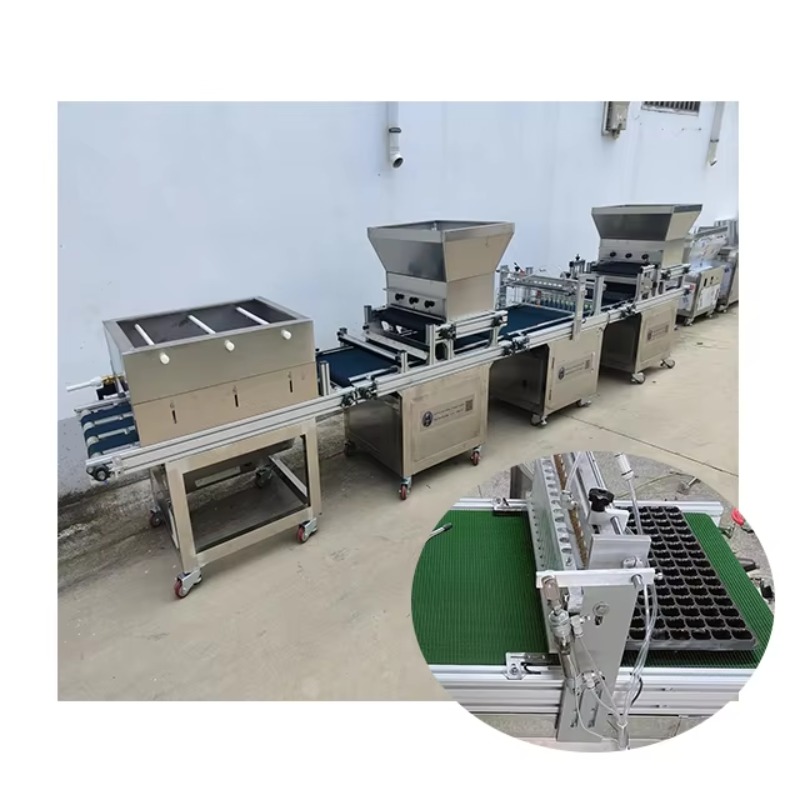 Nursery Plug Tray - Machine de semis automatique pour plateaux