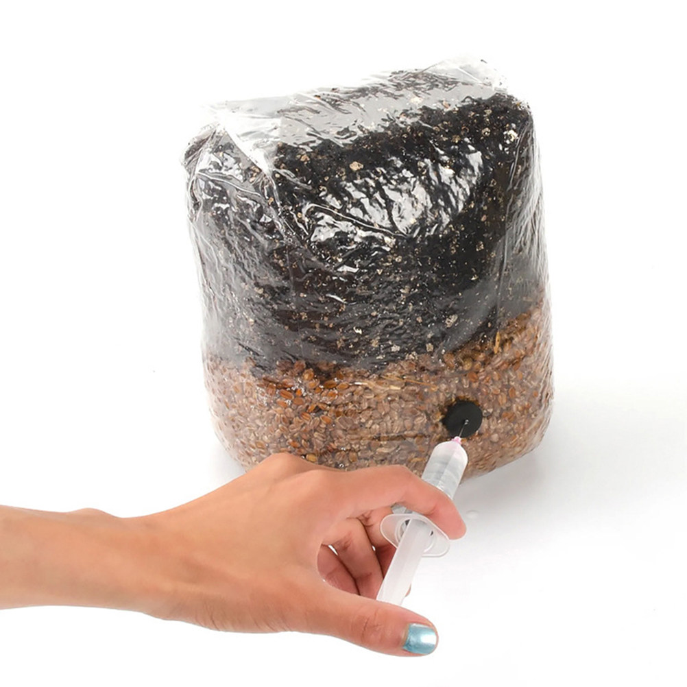 Mushroom Spawn Bag - 20 sacs de culture de champignons