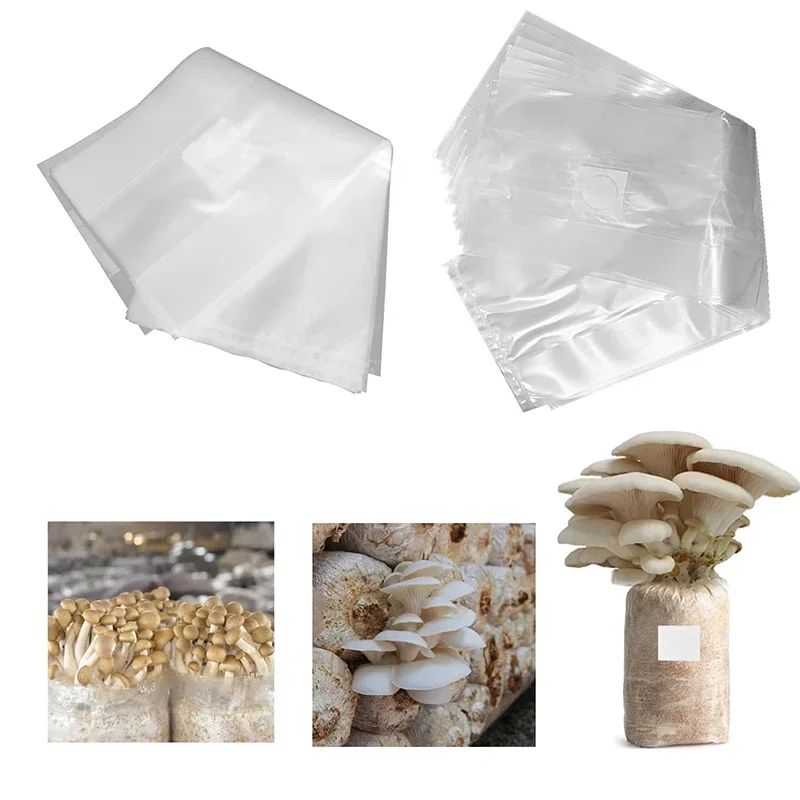 Sacs de culture de champignons - Mushroom Spawn Bag avis et prix