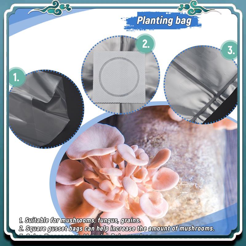 50 sacs de culture en PVC pour - Mushroom Spawn Bag avis et prix