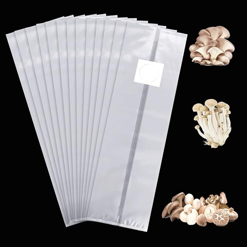 20 sacs de culture de champign - Mushroom Spawn Bag avis et prix