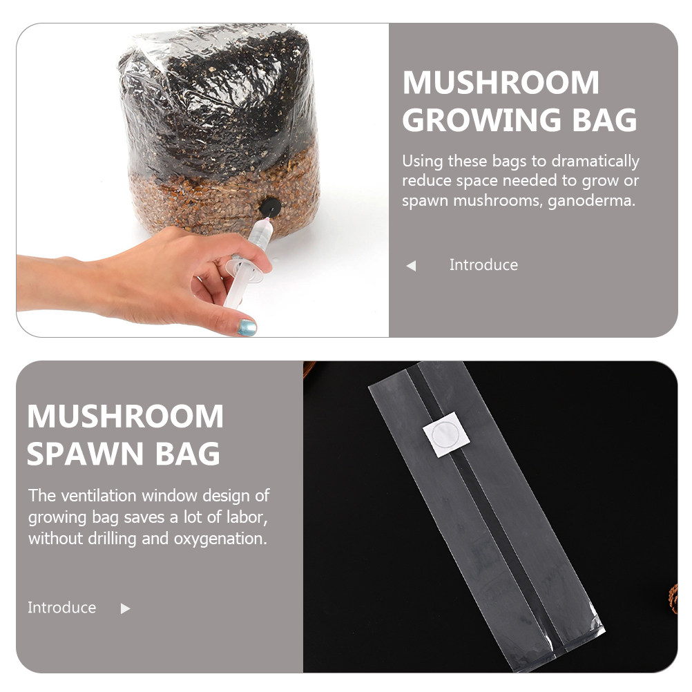 20 sacs de culture de champign - Mushroom Spawn Bag avis et prix