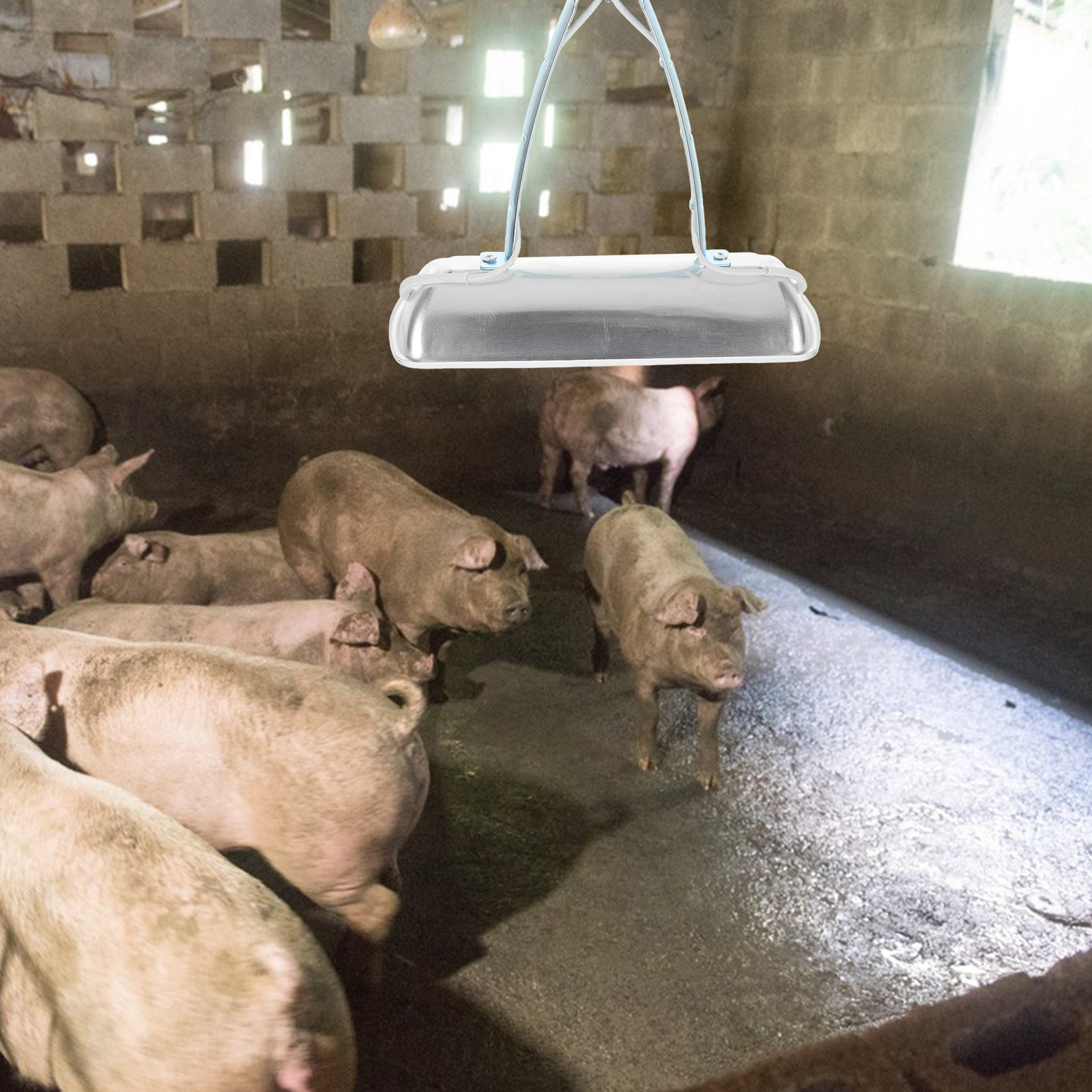 Lampe de préservation pour éle - Farming & Agriculture Word Stacks avis et prix